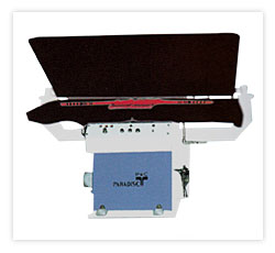 Steam Press ( Pneumatic / Double Bed)